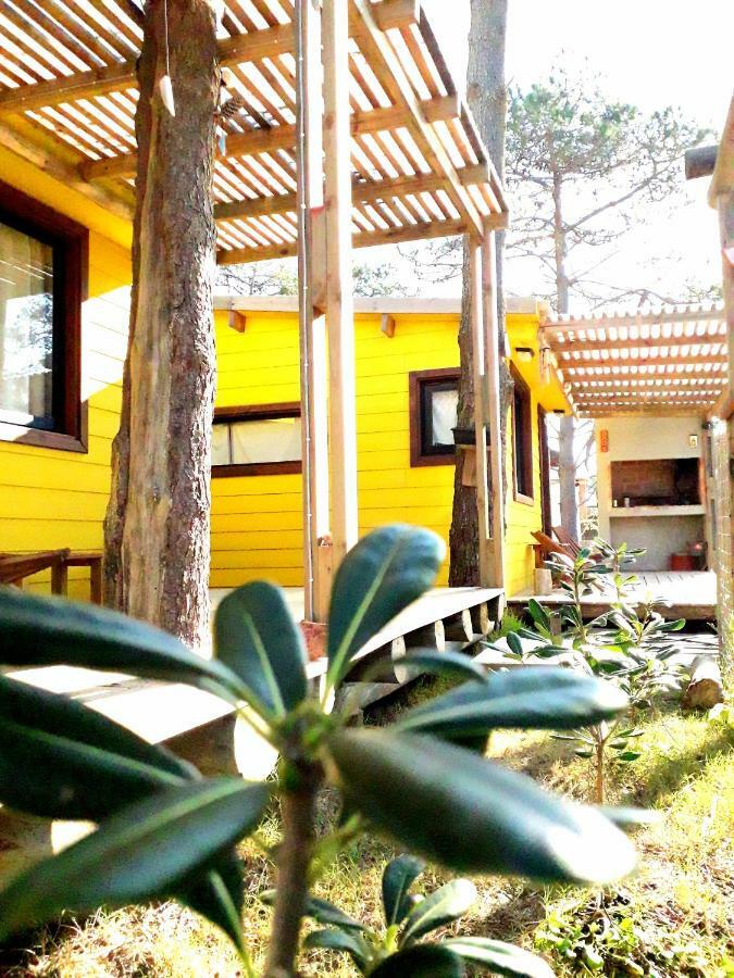 Villa Diabro'S Punta Del Diablo Esterno foto